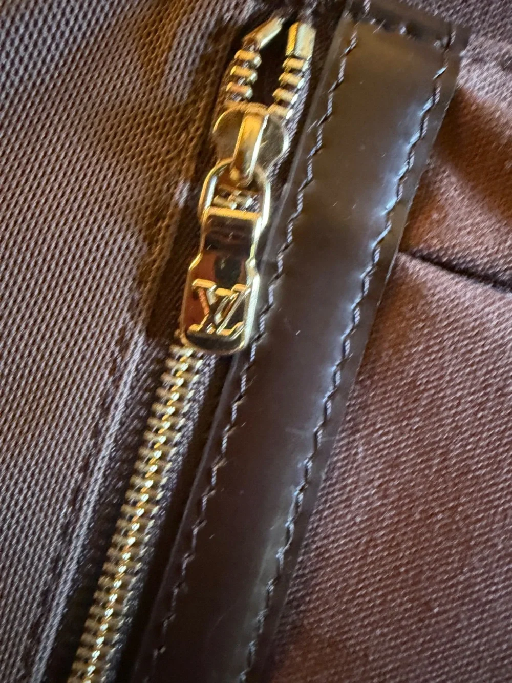 Louis Vuitton Damier Ebene Sabana laptop bag